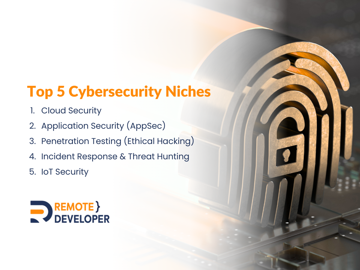 Top 5 Cybersecurity Niches