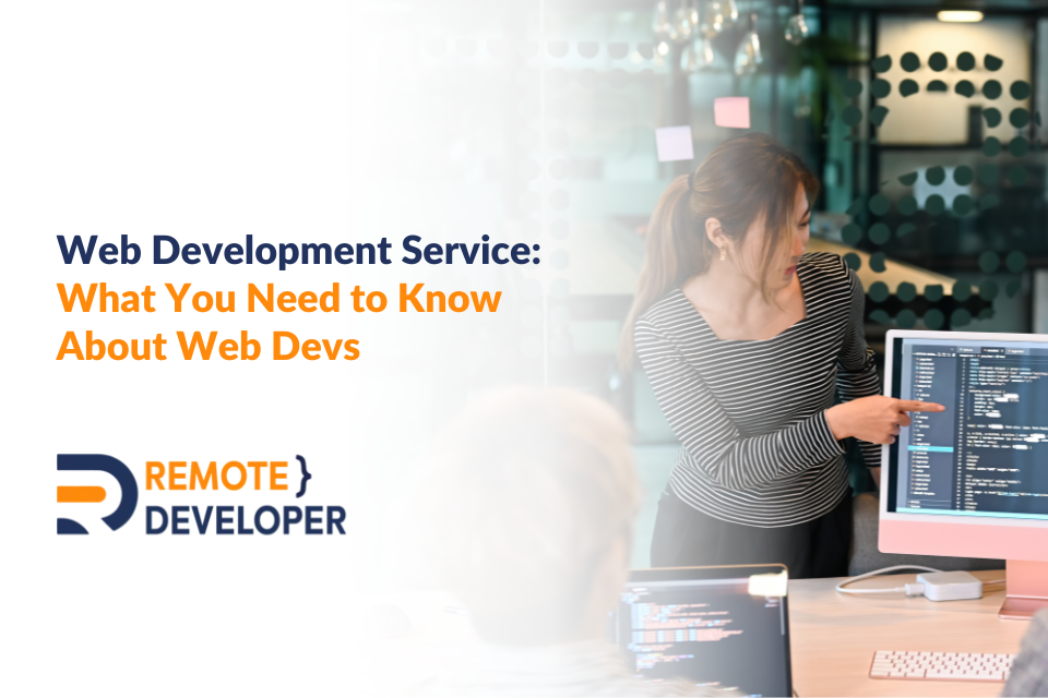 Web Development Service 101